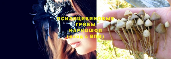 спиды Ладушкин