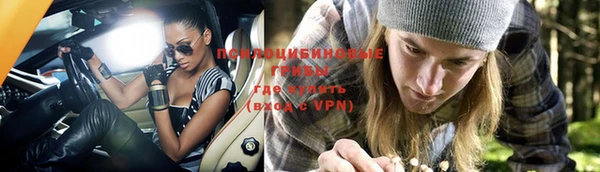 твердый Лабытнанги