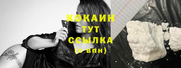 спиды Ладушкин