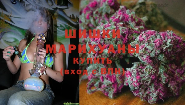 спиды Ладушкин
