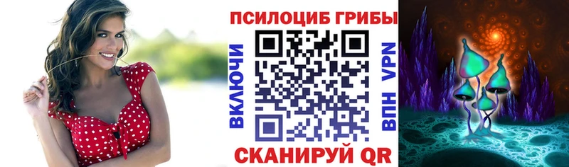 Псилоцибиновые грибы GOLDEN TEACHER  Курчалой 